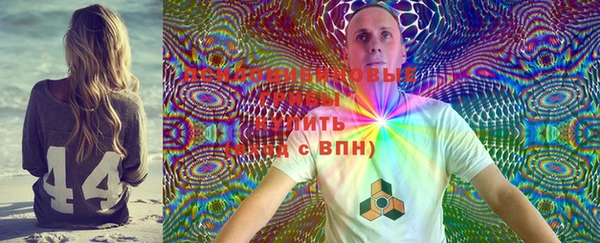 прущая мука Новодвинск