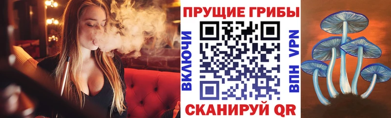 Галлюциногенные грибы Cubensis  Иркутск 